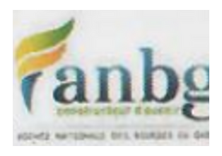 Logo Agence nationale des bourses du Gabon