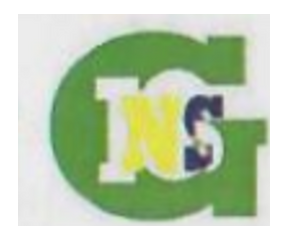 Logo GNS